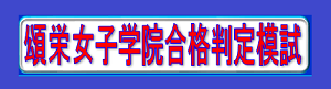 shoei-汎用小