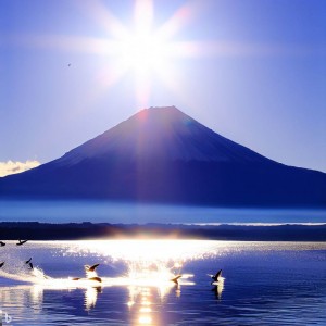 富士山と水鳥