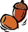 どんぐり