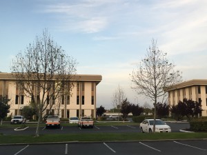 IMG-0115