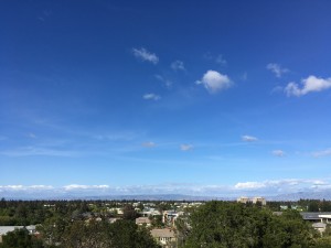 IMG-0131