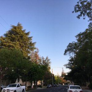 IMG-0170