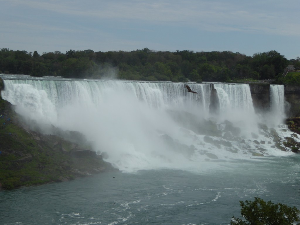 P1060774