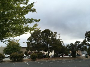 ena SF cloudy