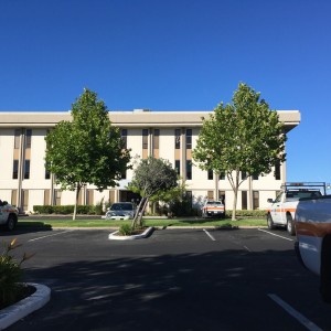 sf 1