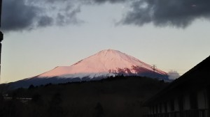DSC_3952